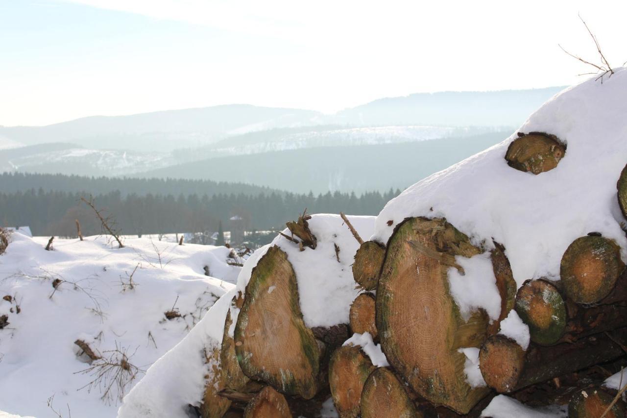 Ferienhaus Am Ruhberg Winterberg Exterior foto