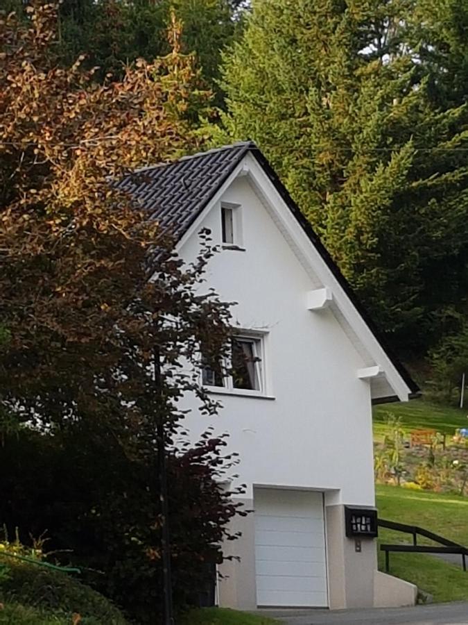 Ferienhaus Am Ruhberg Winterberg Exterior foto